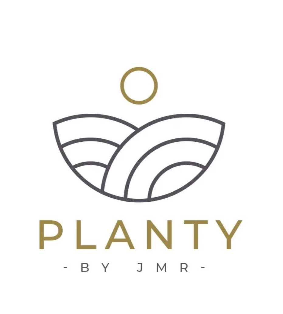 Planty - Alike Pottery Studio