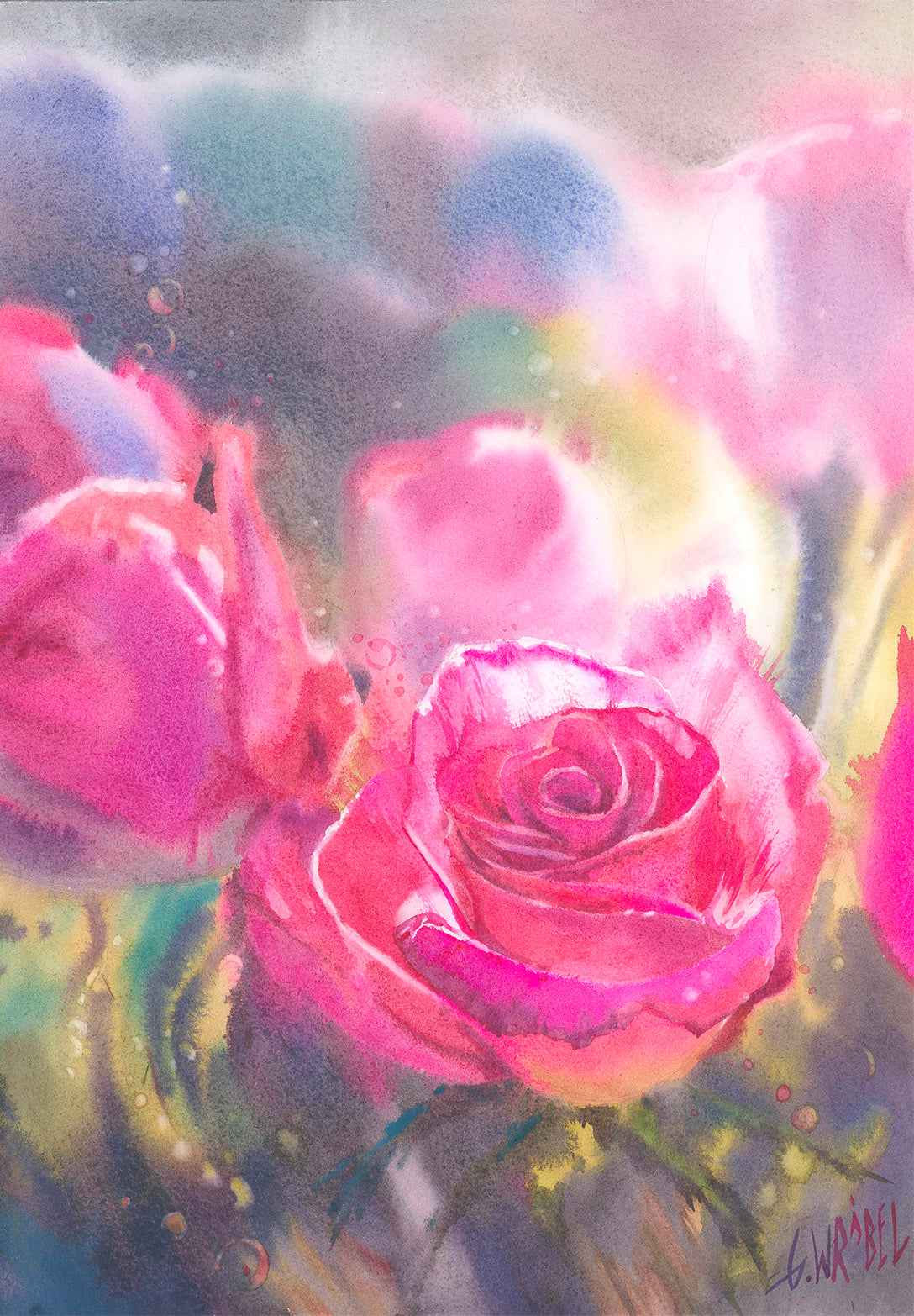 Spring rose