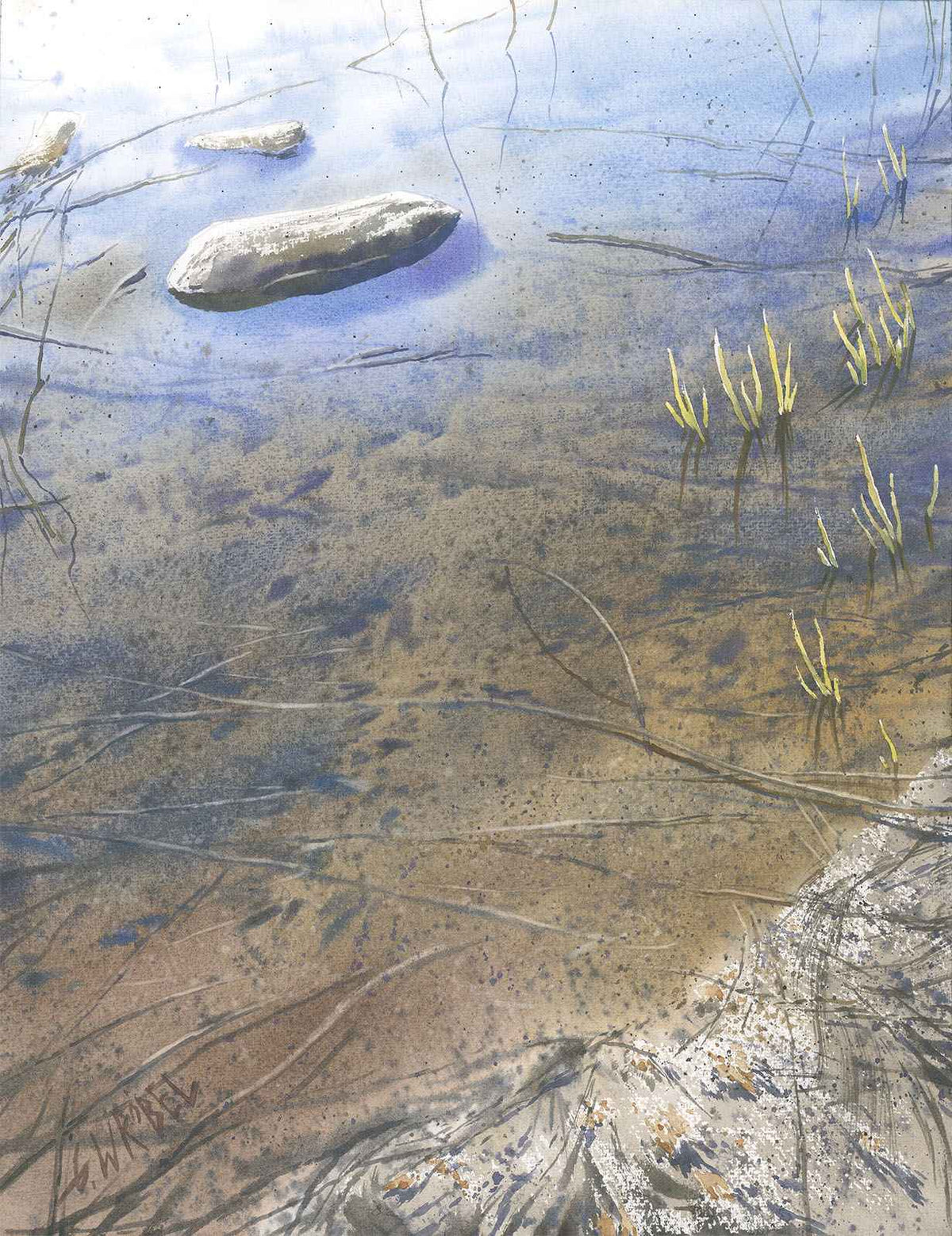 Refleksy w wodzie