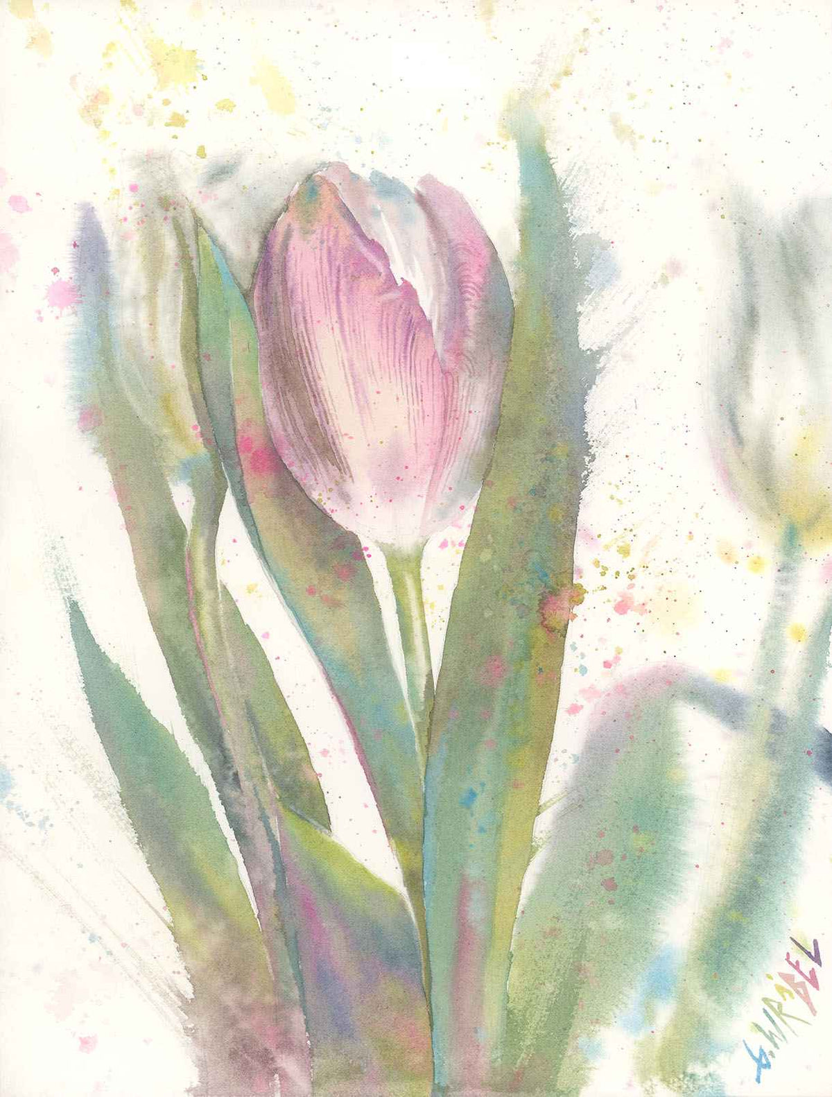 Różowe tulipany