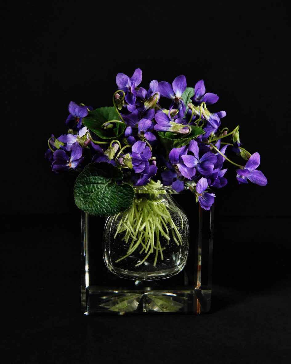 Violets in a crystal inkwell