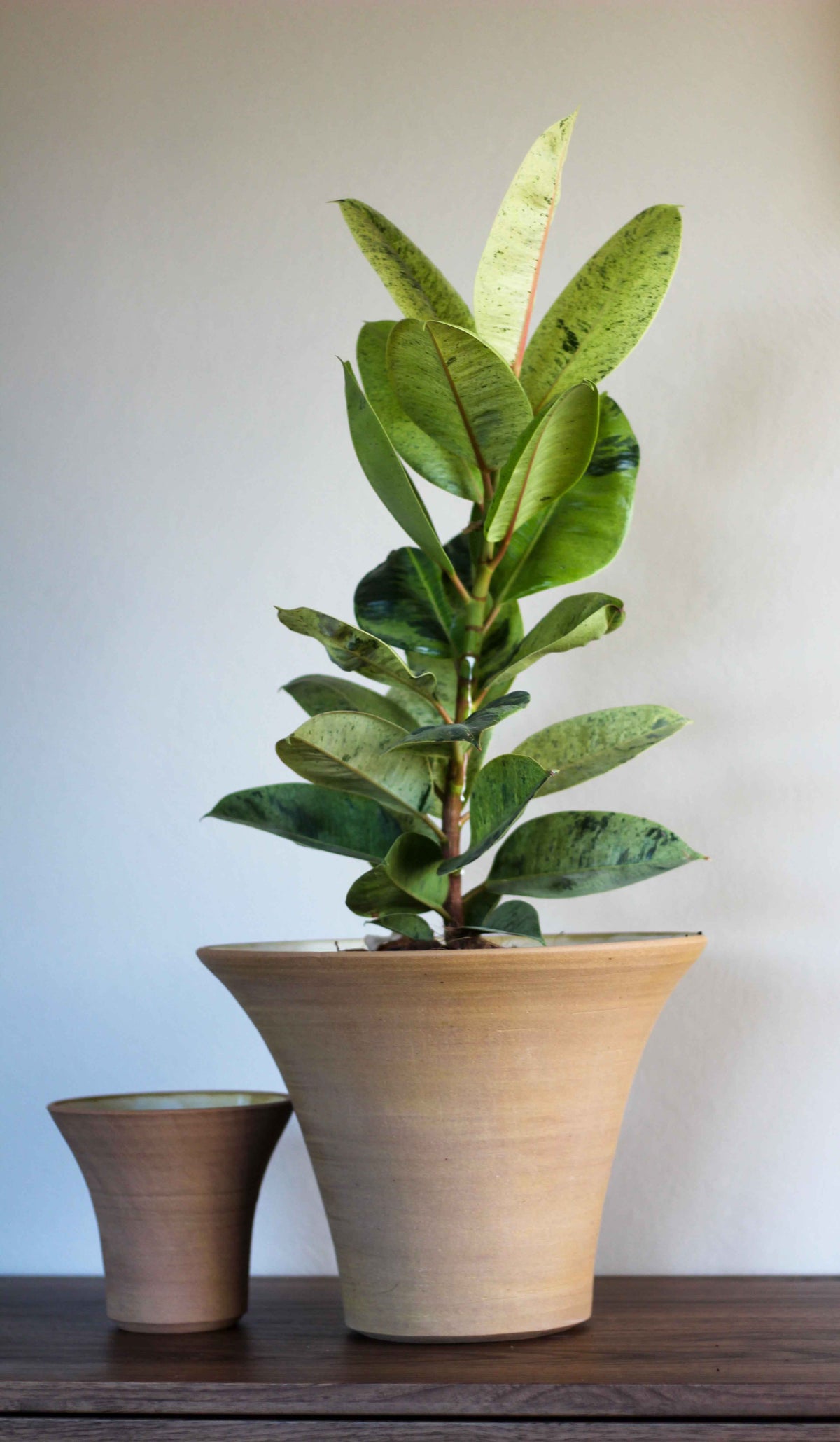 A pair of pots