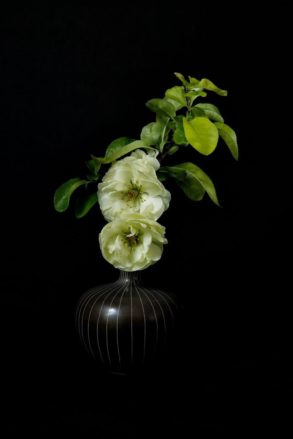 Flowering Quince Branch in a Vase - Alike Pottery Studio