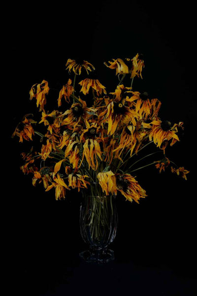 Rudbekie w melancholijnym bukiecie.