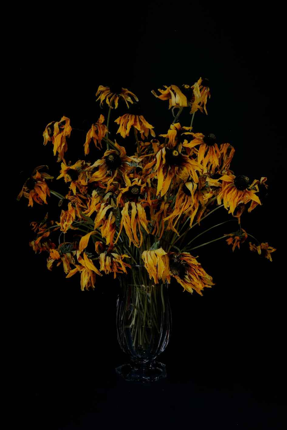 Rudbeckias in a melancholic bouquet.