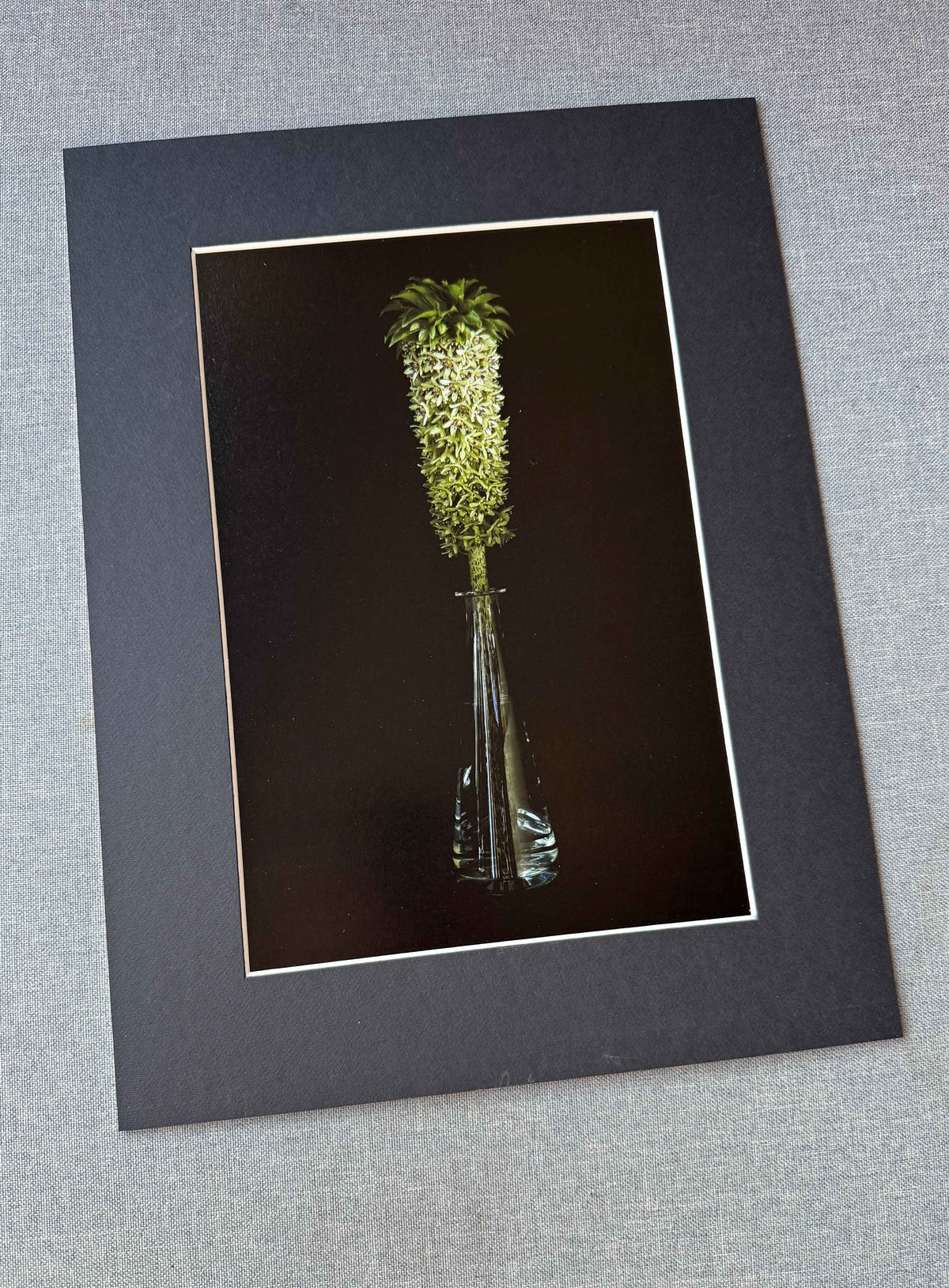 Eucomis bicolor in a glass decanter.