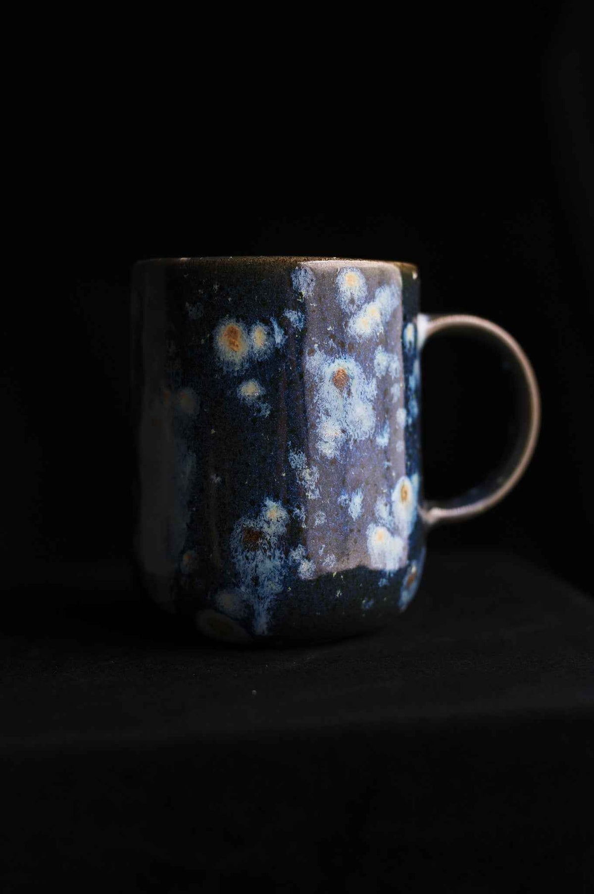Moth Mug